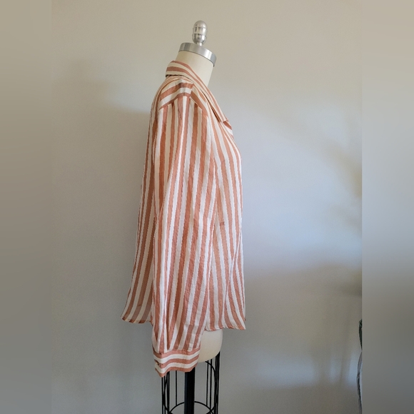 BNWT ZARA cream and copper coloured striped organza button up dress shirt - Picture 3 of 7